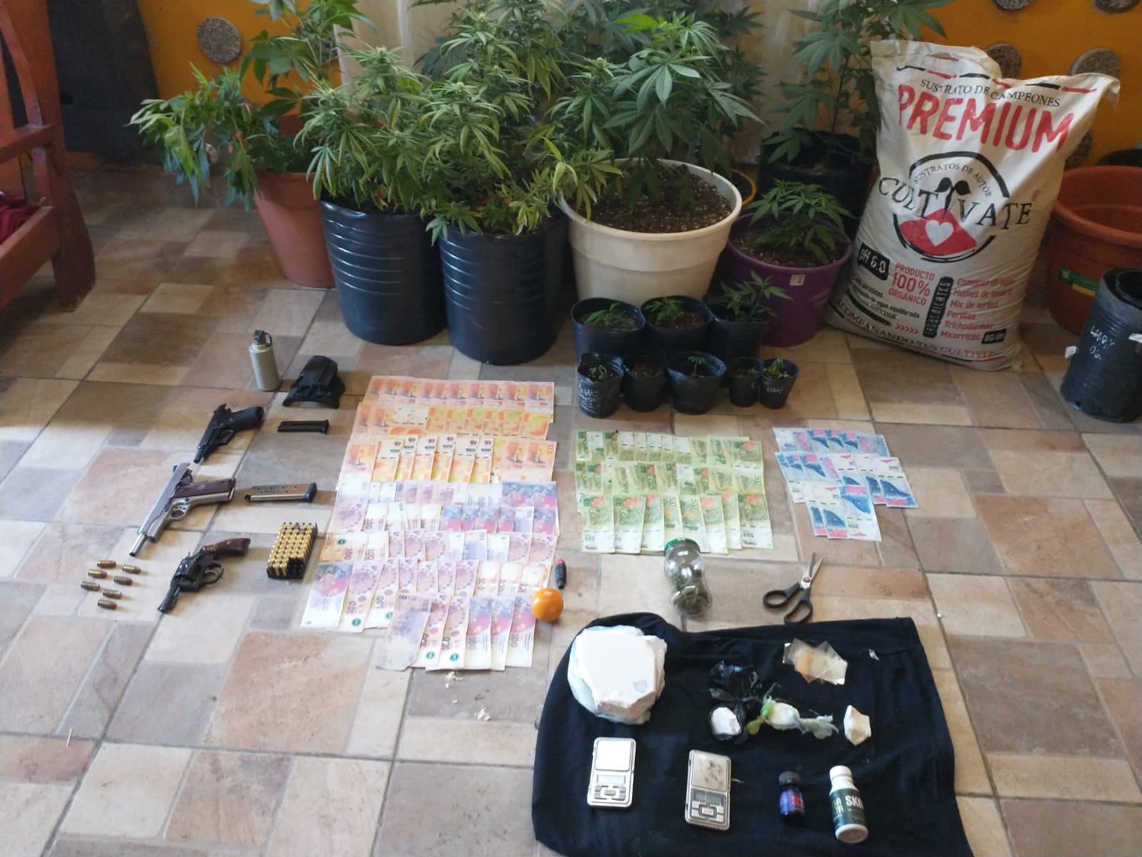 Secuestraron más de medio kilo de cocaína en un allanamiento Canal Verte